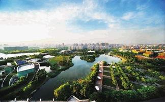 新江湾城最新爆料新闻事件,揭秘最新爆料背后的真相