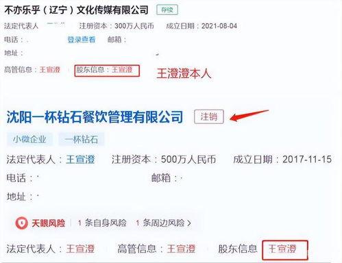 王澄澄老公爆料视频在线观看,揭秘背后惊人真相